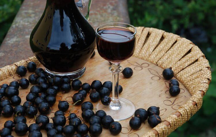 Рецепты черничных настоек на водке и на спирту