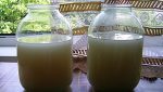 Брага из груши для самогона в домашних условиях