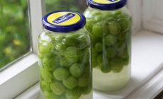 Как приготовить наливку из крыжовника в домашних условиях
