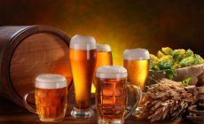 Характеристики и свойства пива