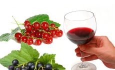 Как приготовить домашнее вино из красной и черной смородины