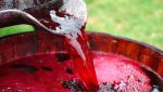 Рецепты закваски для вина из изюма, малины, земляники и винограда