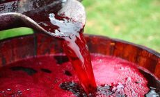 Рецепты закваски для вина из изюма, малины, земляники и винограда