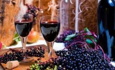 Рецепт вина из ягод и цветов бузины черной