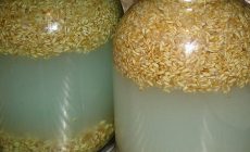 Рецепт пшеничной браги без дрожжей. Как поставить пшеничную брагу в домашних условиях
