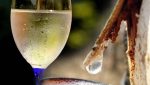 Как сделать шампанское из березового сока