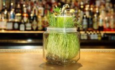 Коктейль Повелитель растений (Green Thumb)