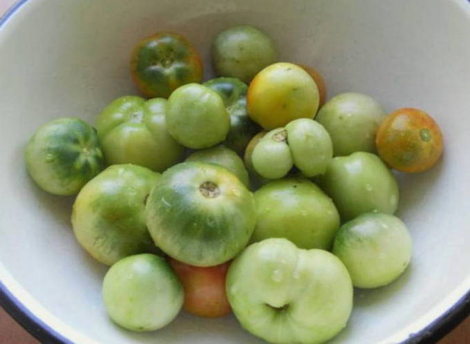 Икра из зелёных помидоров на зиму — 5 очень вкусных рецептов