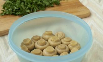 Салат грибная (лесная) поляна с шампиньонами – 9 пошаговых рецептов