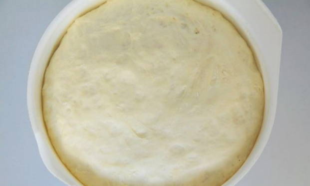 Дрожжевое тесто на молоке – 10 вкусных рецептов пышного теста