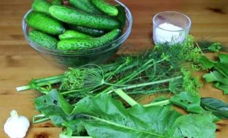 Малосольные огурцы — 10 рецептов быстрого приготовления хрустящих малосольных огурчиков