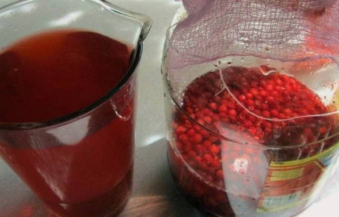 Морс из брусники — 7 вкусных рецептов