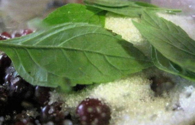 Морс из брусники — 7 вкусных рецептов