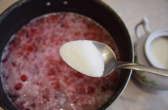 Морс из замороженной клюквы — 5 пошаговых рецептов приготовления