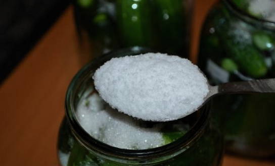 Соленые огурцы на зиму — 10 рецептов хрустящих огурчиков