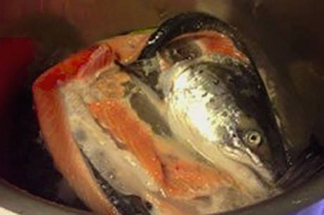 Уха из красной рыбы – 10 рецептов ухи в домашних условиях