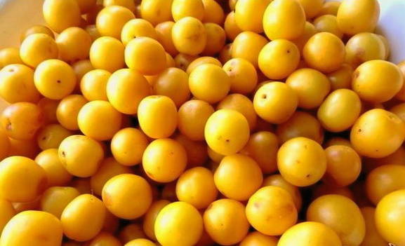 Варенье из алычи — 8 пошаговых рецептов на зиму