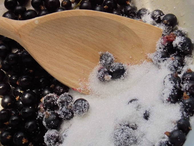 Черная смородина без варки на зиму — 7 рецептов перетертой смородины с сахаром