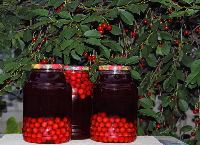 Компот из вишни — 10 пошаговых рецептов на зиму