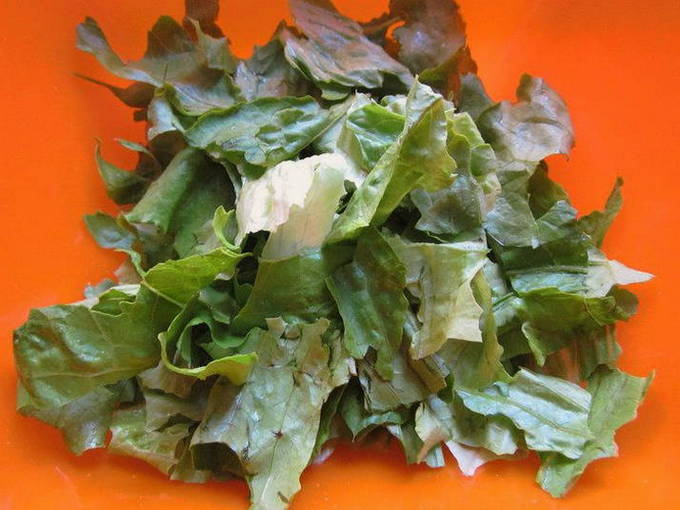 ПП салаты – 10 простых и вкусных рецептов