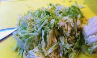 Салат из свежей капусты с огурцом — 10 вкусных рецептов