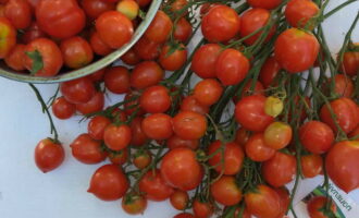 Жареные помидоры на зиму — 5 самых вкусных рецептов