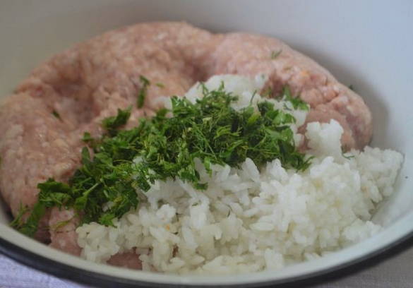 Блюда из куриного фарша — 10 вкусных и быстрых рецептов
