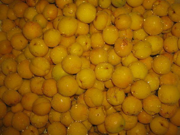 «Фанта» из абрикосов и апельсин — 4 пошаговых рецептов компота на зиму