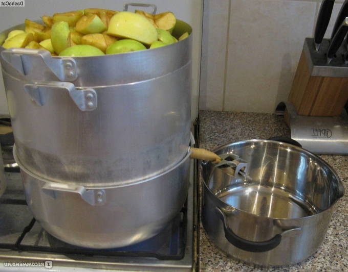 Яблочный сок в домашних условиях на зиму – 10 пошаговых рецептов