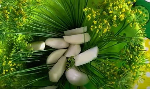 Помидоры с луком на зиму — 8 самых вкусных рецептов
