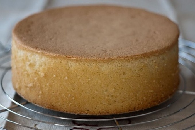 Пышный бисквит в духовке классический для торта – 10 простых рецептов в домашних условиях
