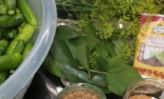 Хрустящие маринованные огурцы на зиму — 10 самых вкусных и очень простых рецептов в банках с фото пошагово