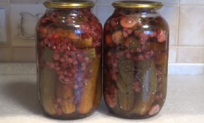Хрустящие маринованные огурцы на зиму — 10 самых вкусных и очень простых рецептов в банках с фото пошагово