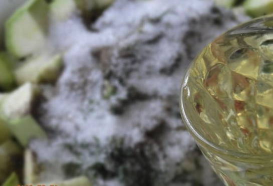 Маринованные кабачки на зиму — 10 рецептов хрустящих кабачков
