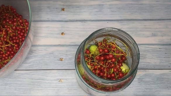 Огурцы с красной смородиной — 5 пошаговых рецептов на зиму