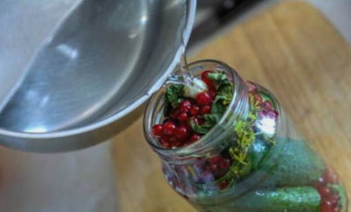 Огурцы с красной смородиной — 5 пошаговых рецептов на зиму