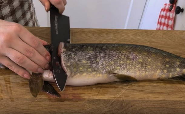 Рыбные котлеты в духовке — 8 очень вкусных рецептов