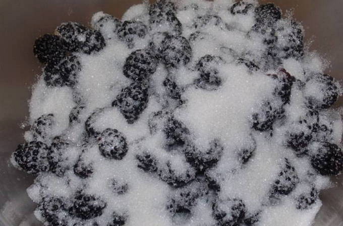 Варенье из ежевики — 10 пошаговых рецептов на зиму