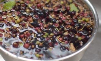 Желе из черной смородины — 8 простых рецептов