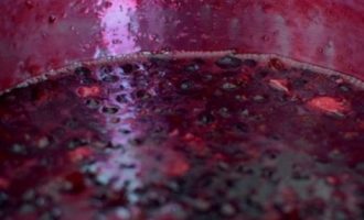 Желе из черной смородины — 8 простых рецептов