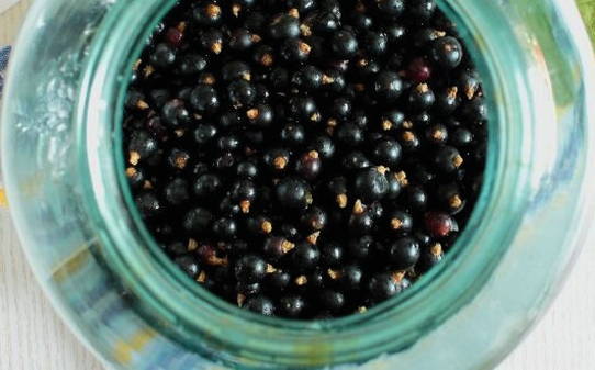 Компот из черной смородины – 9 простых рецептов на зиму