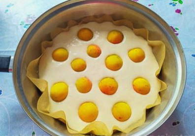 Пирог с абрикосами — 10 пошаговых рецептов в духовке