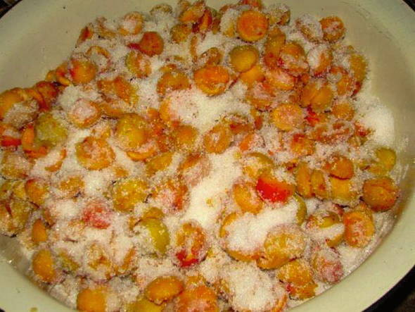 Варенье из абрикосов без косточек – 10 пошаговых рецептов на зиму