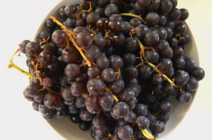 Желе из винограда — 4 пошаговых рецепта на зиму
